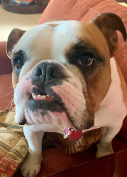 Miss Otis